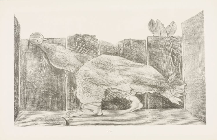 Picture of Histoire Naturelle