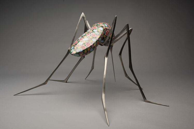 Picture of Mosquito