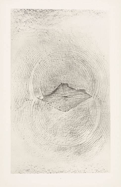 Picture of Histoire Naturelle