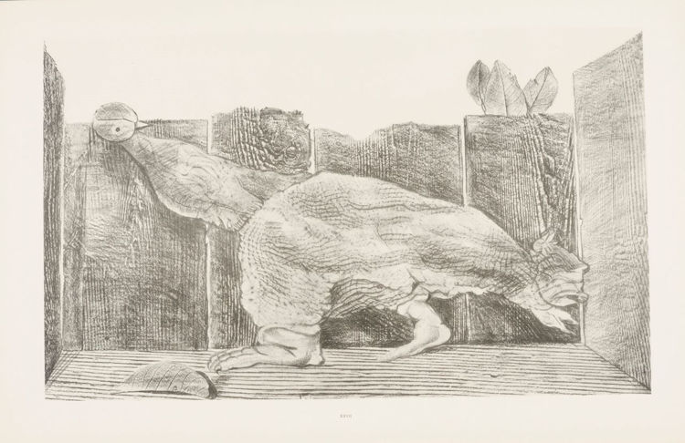 Picture of Histoire Naturelle