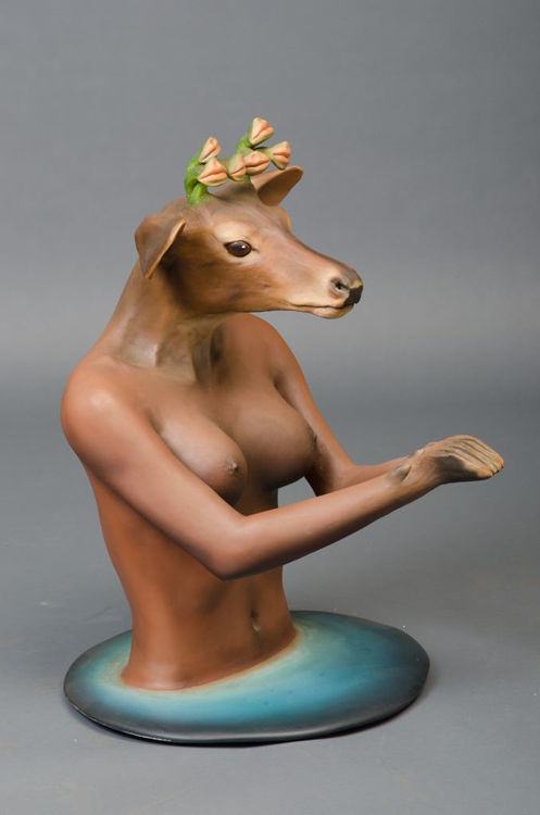 Picture of Wapiti