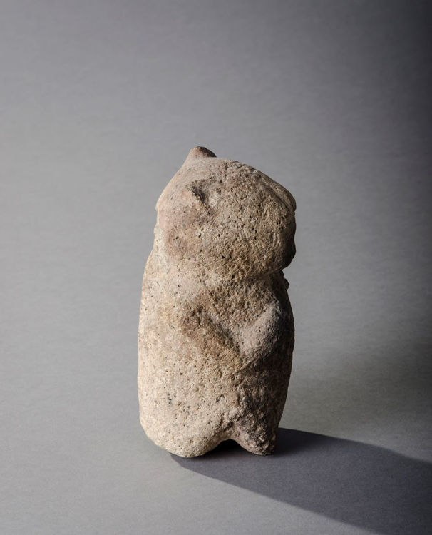 Picture of Animal Totem
