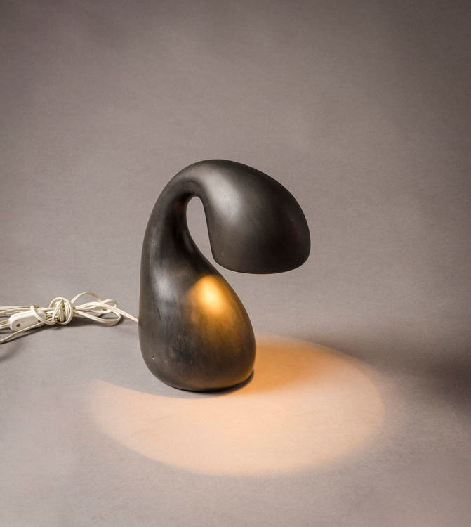 Picture of Eliza's Dark Little Question Light