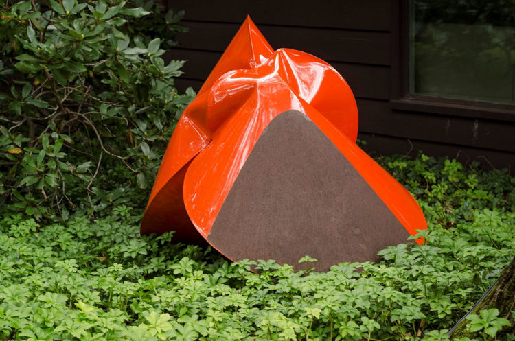 Picture of Tye Orange