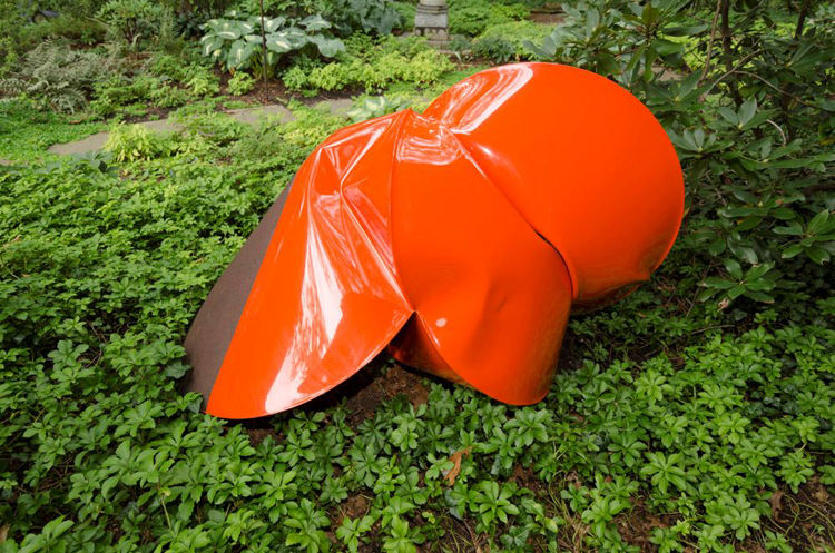 Picture of Tye Orange