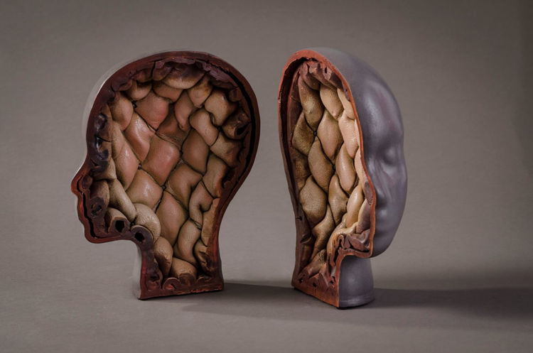 Picture of Inside the Head