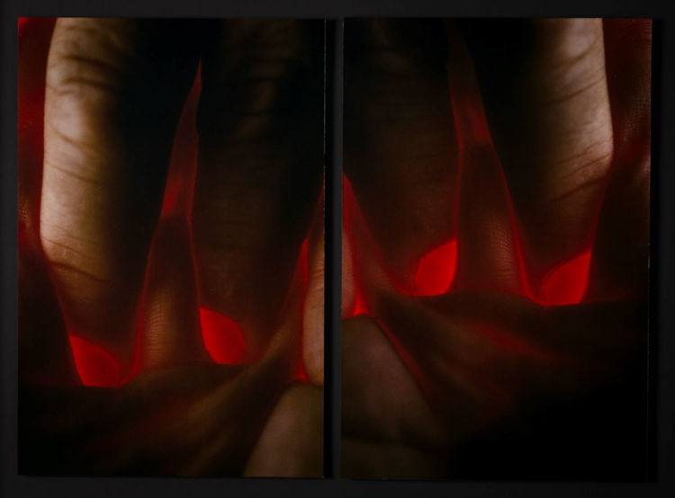 Picture of Fingers