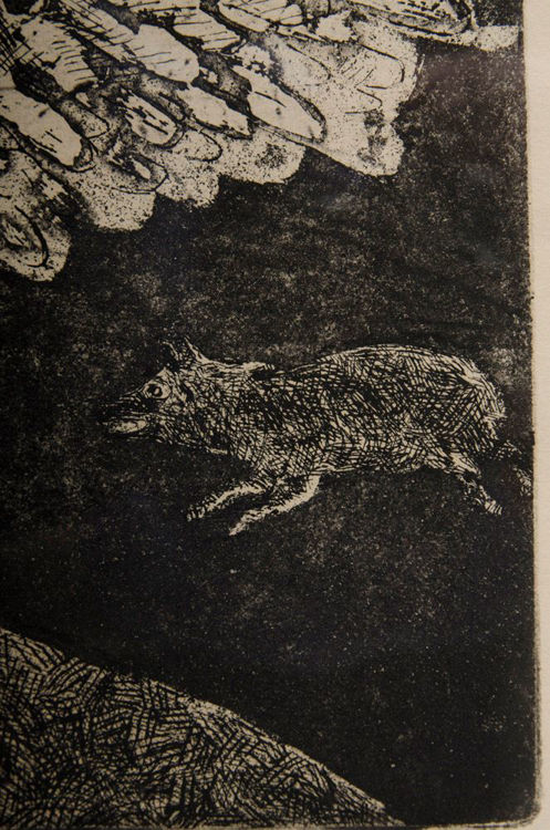 Picture of Flying pigs