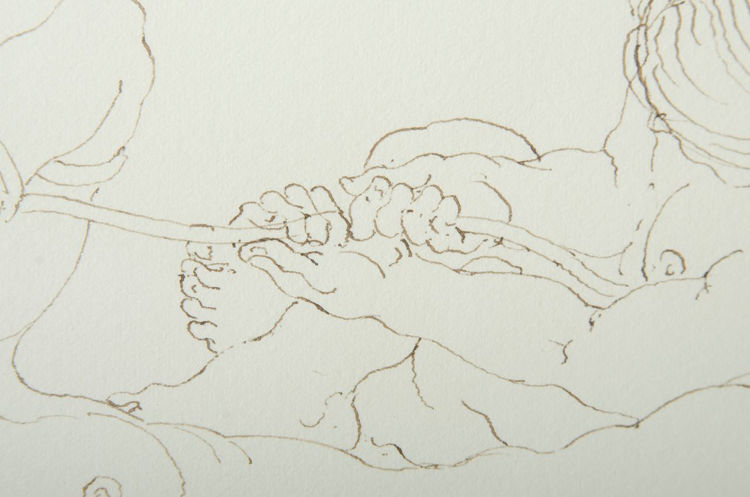 Picture of Nude