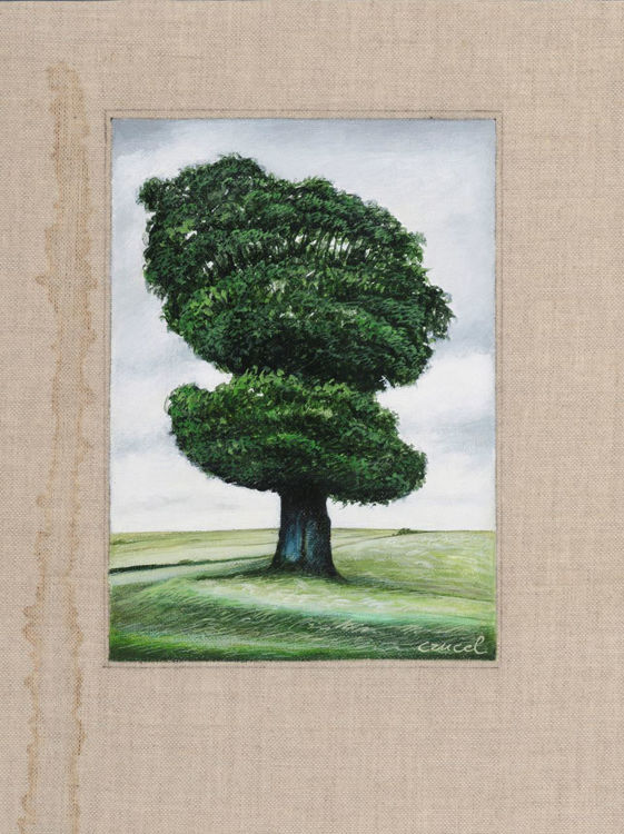Picture of Tree