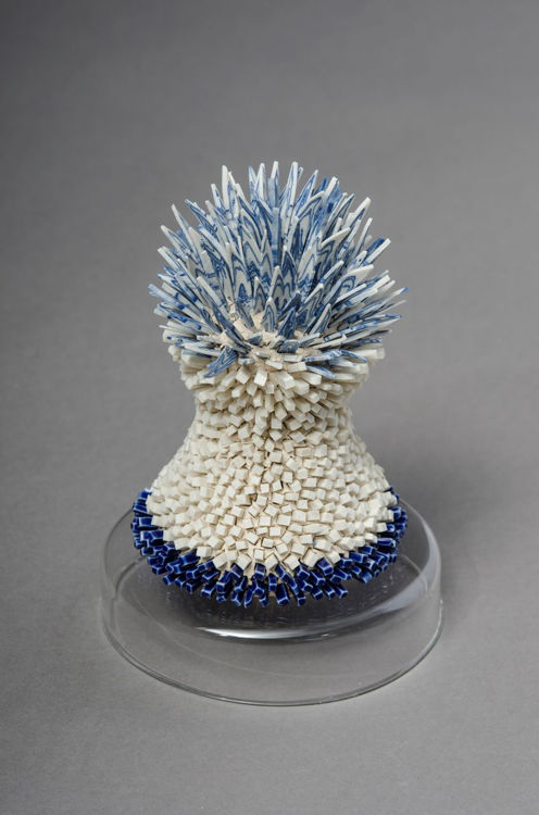 Picture of White and Blue Flower