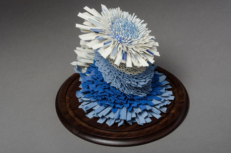 Picture of Blue and White Flower