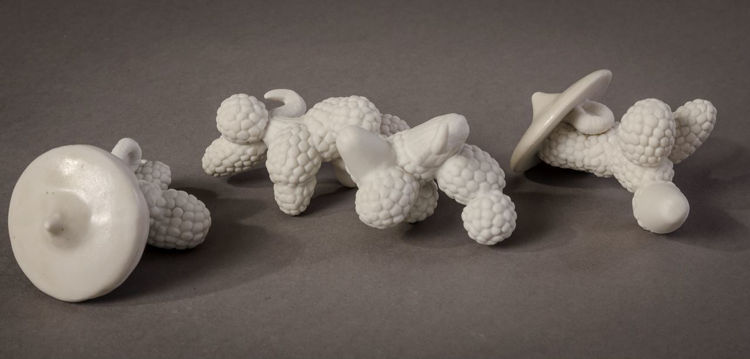 Picture of Biomorphic Forms