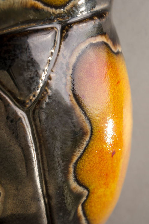 Picture of Geotrupes Stercorarius