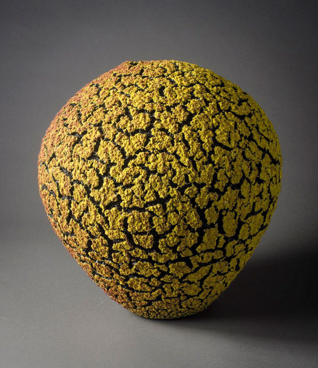 Picture of Yellow/Red Lichen Vase