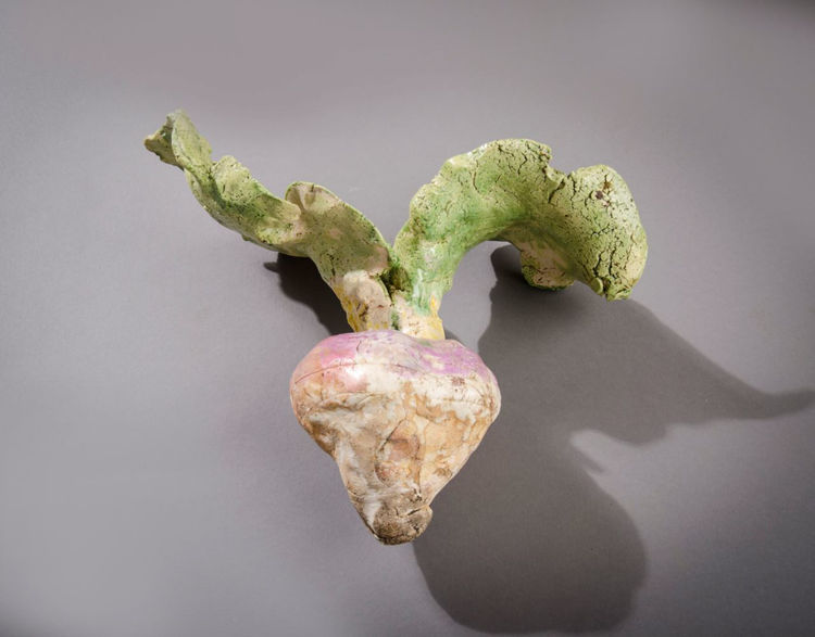 Picture of Turnip