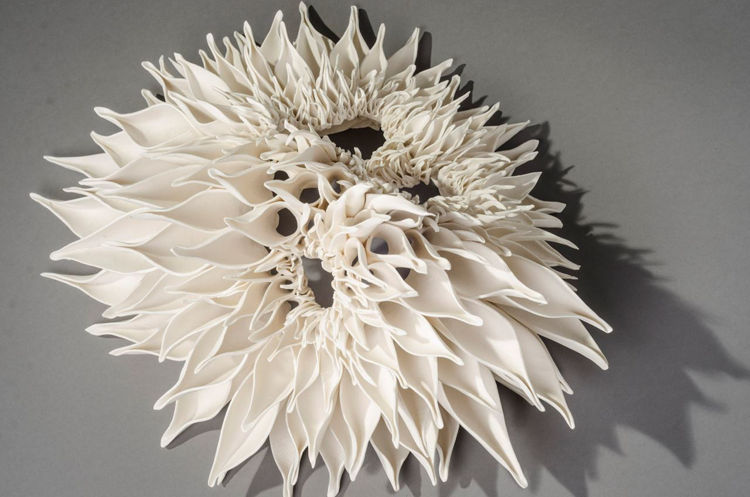 Picture of Teasel