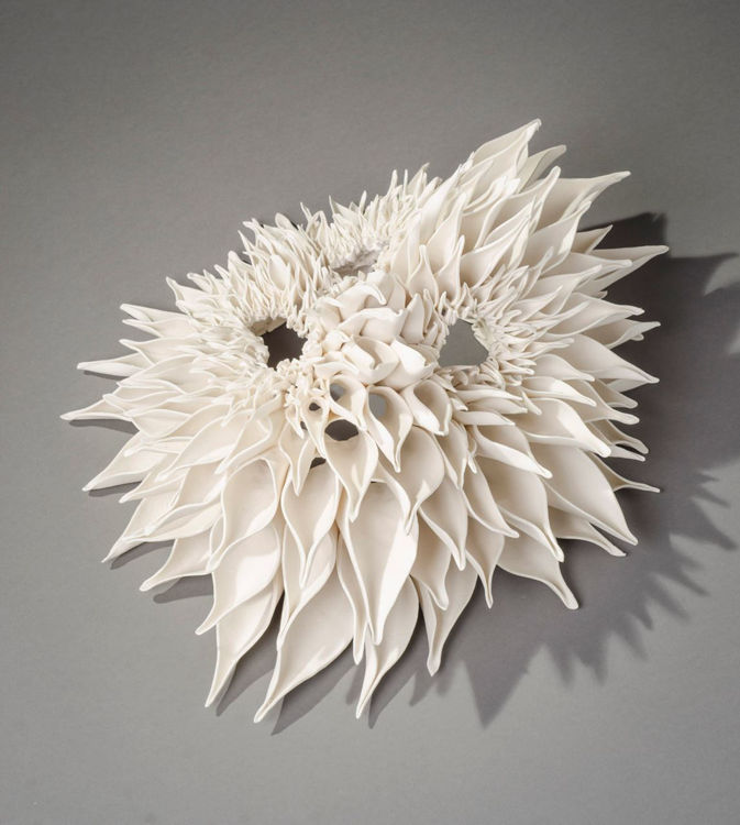 Picture of Teasel