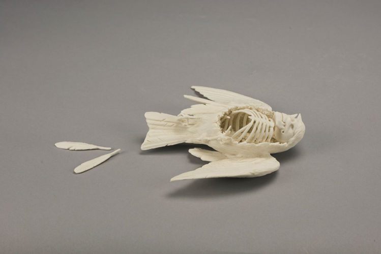 Picture of Sparrow