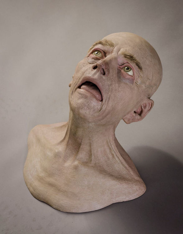 Picture of Head