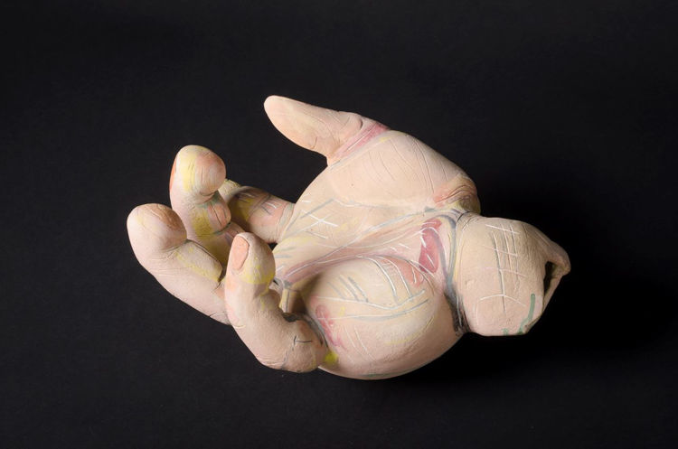 Picture of Hand