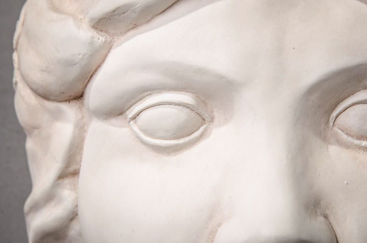 Picture of Female Facial Relief Planter