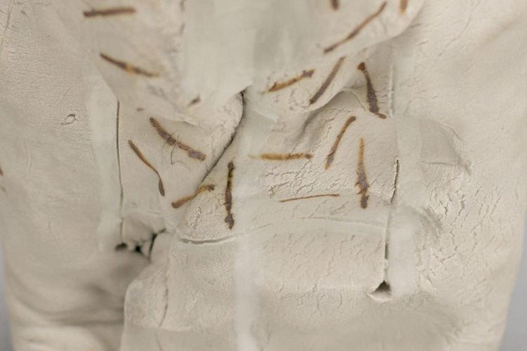 Picture of Fold