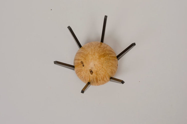 Picture of Spider Box