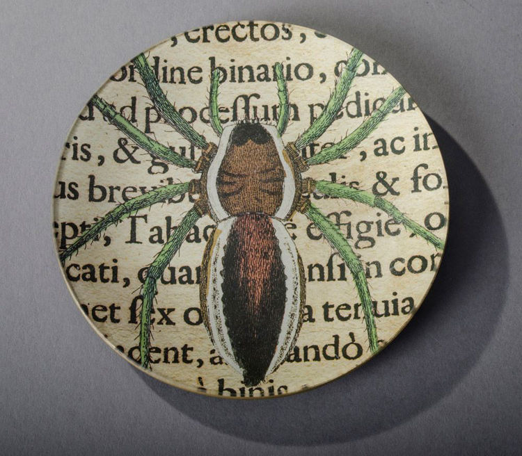 Picture of Brown & Green Spider Plate
